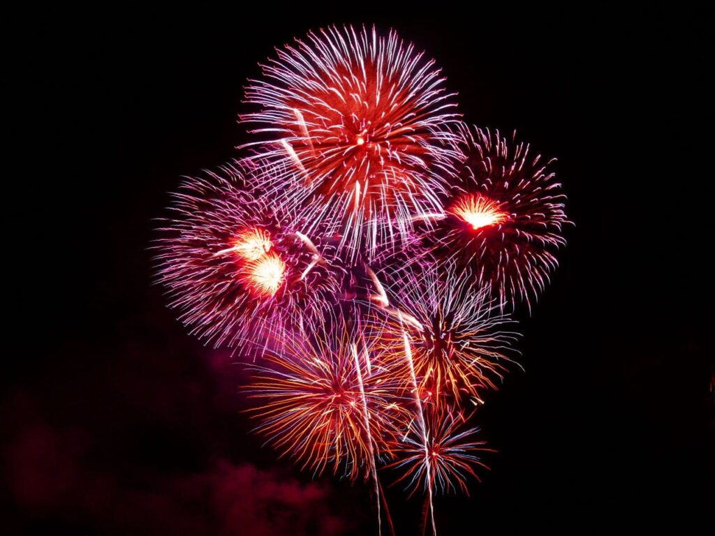 The Australia Day Celebration Fireworks