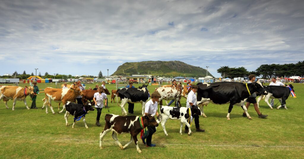 Circular Head Agricultural Show