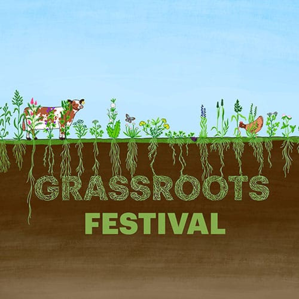 Grassroots Festival