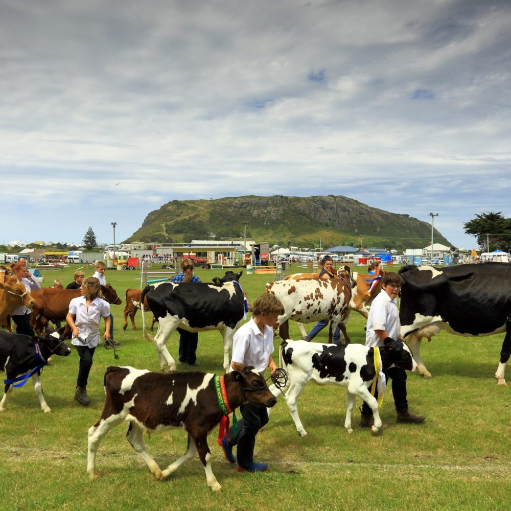 Circular Head Agricultural Show