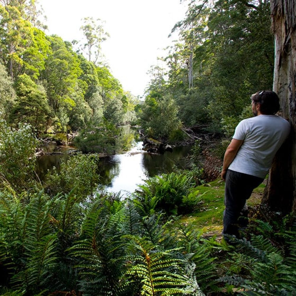 black-river-picnic-area-spion-kop