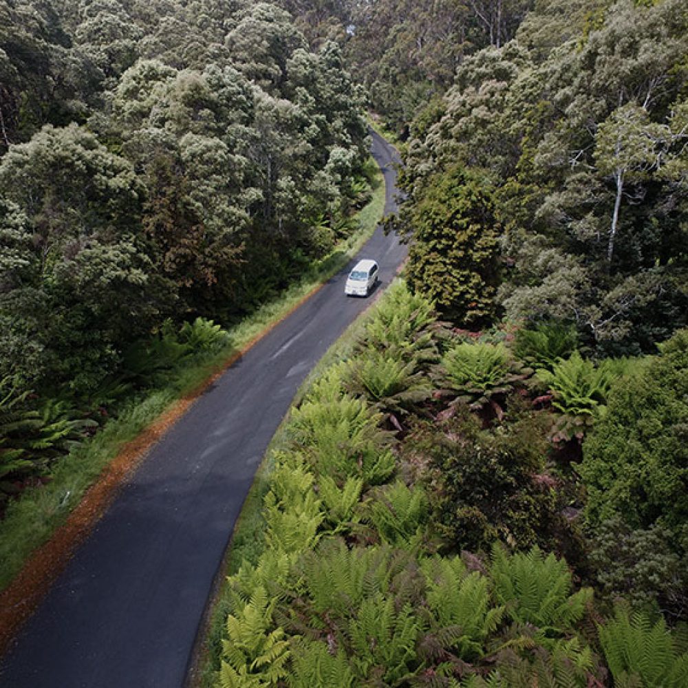 tarkine-drive-1